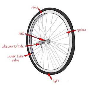 301bike-wheel-diagram